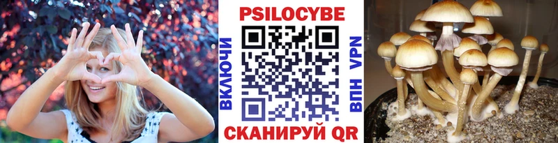 Псилоцибиновые грибы мицелий  мега ССЫЛКА  Карабулак 